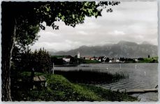 87629 W8958 Hopfen am See