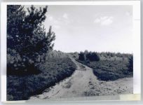 21259 W2111 Todtglüsingen FOTO KEINE AK Foto mit Negativ