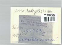 21259 W2111 Todtglüsingen FOTO KEINE AK Foto mit Negativ