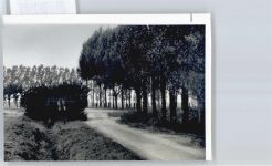 38274 W3323 Groß Elbe FOTO KEINE AK Foto