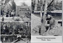 06502 O4308 Thale - Tierpark Hexentanzplatz AKU2