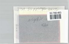 38376 W3331 Süpplingenburg FOTO KEINE AK Foto mit Negativ