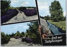 21259 W2111 Todtglüsingen