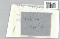 29493 W3131 Holtorf , Elbe FOTO KEINE AK Foto mit Negativ