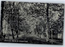 17109 O2030 Demmin - Devenerholz