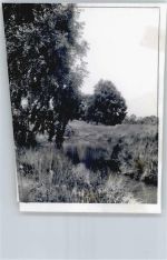 29565 W3111 Brockhöfe FOTO KEINE AK Foto mit Negativ