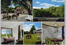 24802 W2371 Katenstedt b Neumünster - Ferienhof Katenstedt, Ponykutsche