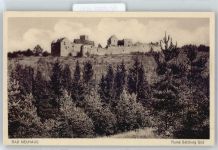 97616 W8740 Bad Neuhaus - Burg Ruine AKU2