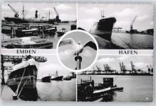 26721 W2970 Emden , Ostfriesland - Hafen, Möwe