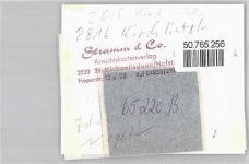 27308 W2816 Kirchlinteln FOTO KEINE AK Foto mit Negativ, Gaststätte Linteloh