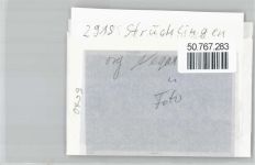 26683 W2915 Strücklingen FOTO KEINE AK Foto mit Negativ