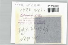 49757 W4476 Wehm FOTO KEINE AK Foto mit Negativ, Geschäft