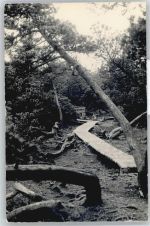 01773 O8231 Zinnwald-Georgenfeld - Hochmoor AKU1