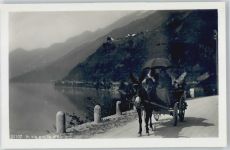 Foto-Karte Esel