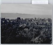 88142 W8992 Wasserburg (Bodensee) - Foto