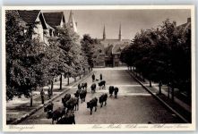 38855 O3700 Wernigerode - Neuer Markt, Kuh, Blick vom Hotel zur Sonne