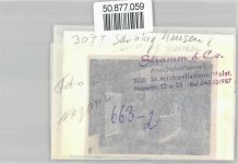31595 W3074 Sarninghausen - Foto mit Negativ, Gaststätte