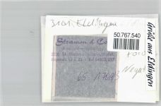 29351 W3101 Eldingen FOTO KEINE AK Foto mit Negativ
