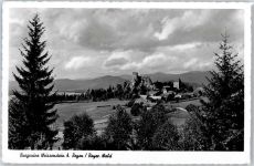 94209 W8370 Regen - Burgruine Weissenstein