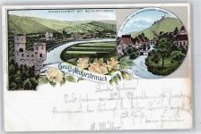 69239 W6918 Neckarsteinach - Schwalbennest, Gesamtansicht, Dilsberg