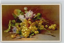 Litho Weintrauben Künstler sign Von Sivers Stilleben Frucht, Gemüse 1910