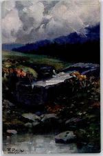 Schwarzwald-Quellen Reiss Fritz