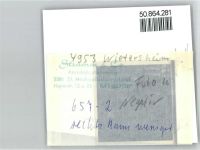 32469 W4953 Wietersheim - Foto mit Negativ, Gaststätte
