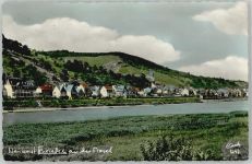 56867 W5589 Briedel - Weinort