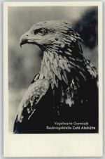 Adler Foto AK Almhütte, Maximilianshöhe, Vogelwarte Garmisch Vogel 1930