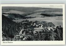 38667 W3396 Altenau , Harz