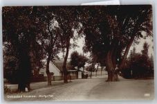 17459 O2225 Koserow - Dorfgarten