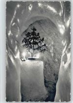Grindelwald Eisgrotte mit Tannenbaum Foto AK Gletscher 1952