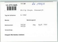 25859 W2251 Hooge, Hallig FOTO KEINE AK