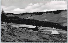87534 W8974 Steibis - Hochwies