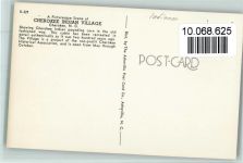 Cherokee Idian Village ca 1960 AK Indianer