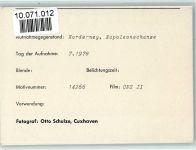 26548 W2982 Norderney FOTO KEINE AK