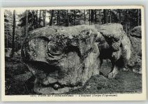 Elefanten aus Steine Foret de Fontainebleau Elefant