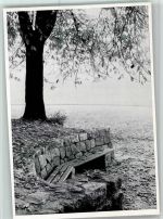 Stettin Szczecin - Zur Herbstzeit im Quistorpark Foto Block