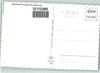 Alpenländisch-Erzgebirgler Dachsbracke Hund