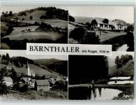 8822 Mühlen - Bärnthaler am Kogel Ortsansichten Forellenteiche 4-Bildaufnahme