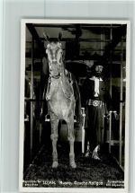Museo, Gaucho Antiguo - Volkstypen Motiv Argentinien
