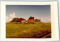 25859 W2251 Hooge, Hallig FOTO KEINE AK