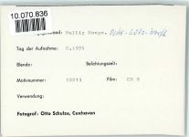 25859 W2251 Hooge, Hallig FOTO KEINE AK