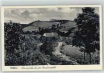 54516 W5560 Wittlich - Lieserpartie Bastenmühle