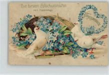 Litho Namenstag Vergissmeinnicht Erika AK Taube 1913