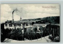 Bad Altheide Polanica Zdroj 1909 - Herzheilbad - AK
