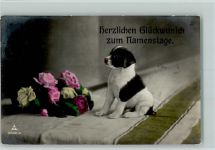 Hundewelpe Blumenstrauß Glückwunsch Namenstag
