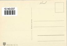 Fox Terrier Terrier