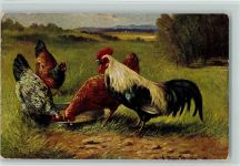 sign A, Müller - Serie 216 AK Huhn 1905 Künstlerkarte