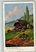 Schwarzwaldhaus 1903 AK Reiss Fritz